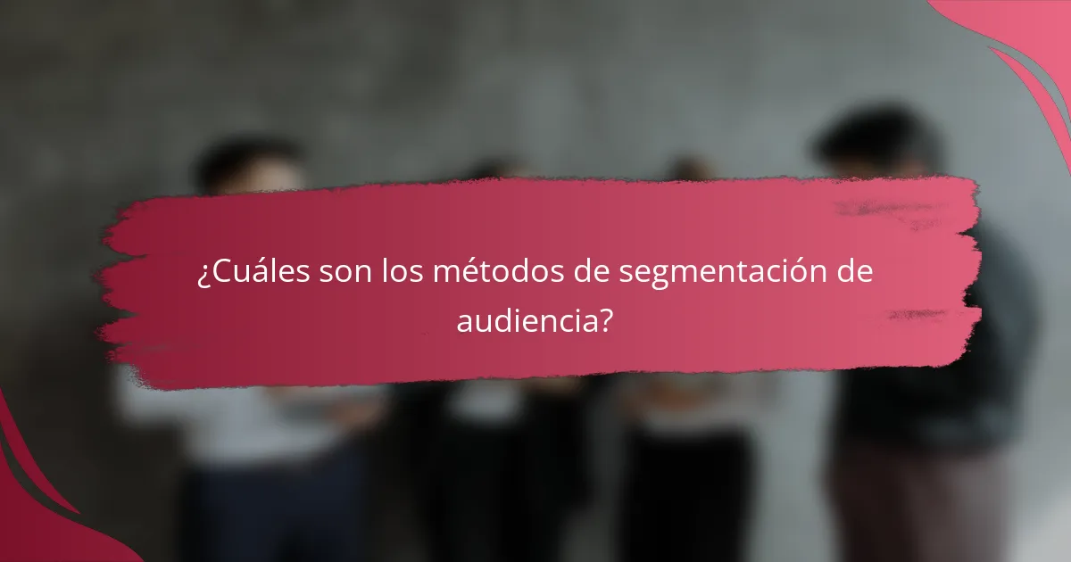 ¿Cuáles son los métodos de segmentación de audiencia?