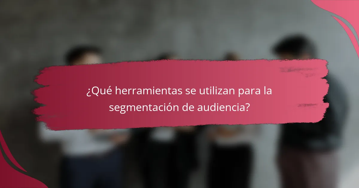 ¿Qué herramientas se utilizan para la segmentación de audiencia?